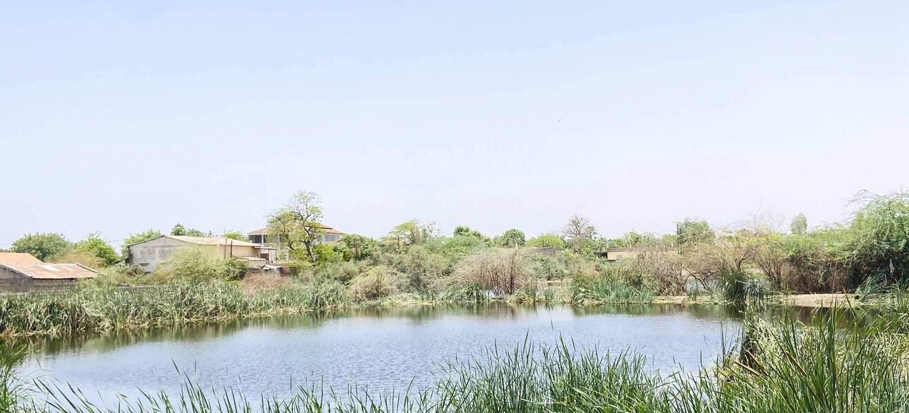 Reisetipps im Senegal