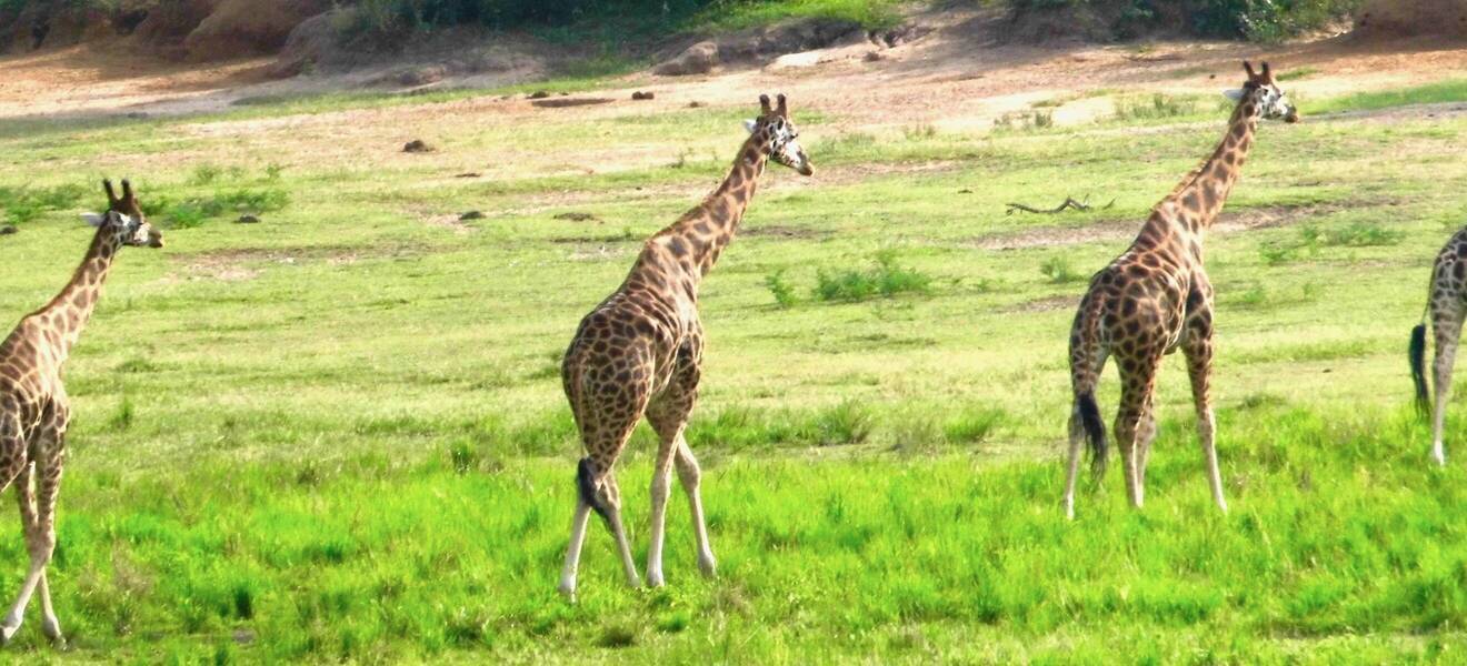 Reisetipps in Uganda