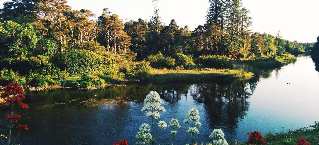 Irland in a Nutshell