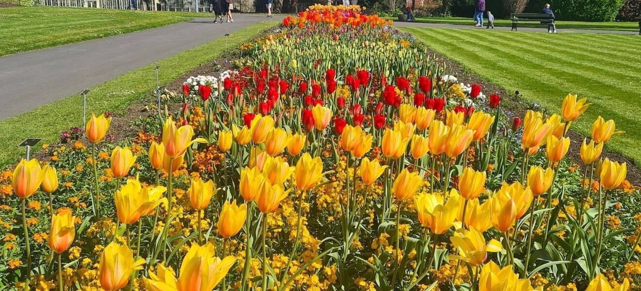 Irland passt zu dir, wenn du...