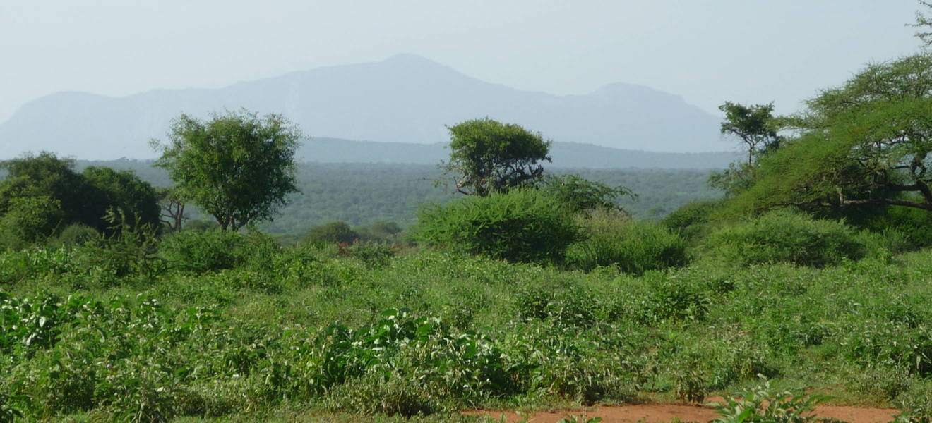 Aussicht beim Wandern 