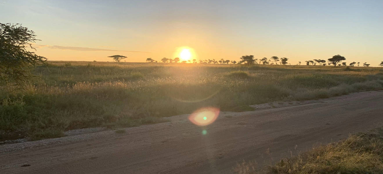 Rückreise nach Dar es Salaam