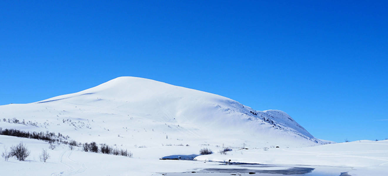 Nordic winter landscapes in Swedish Lapland