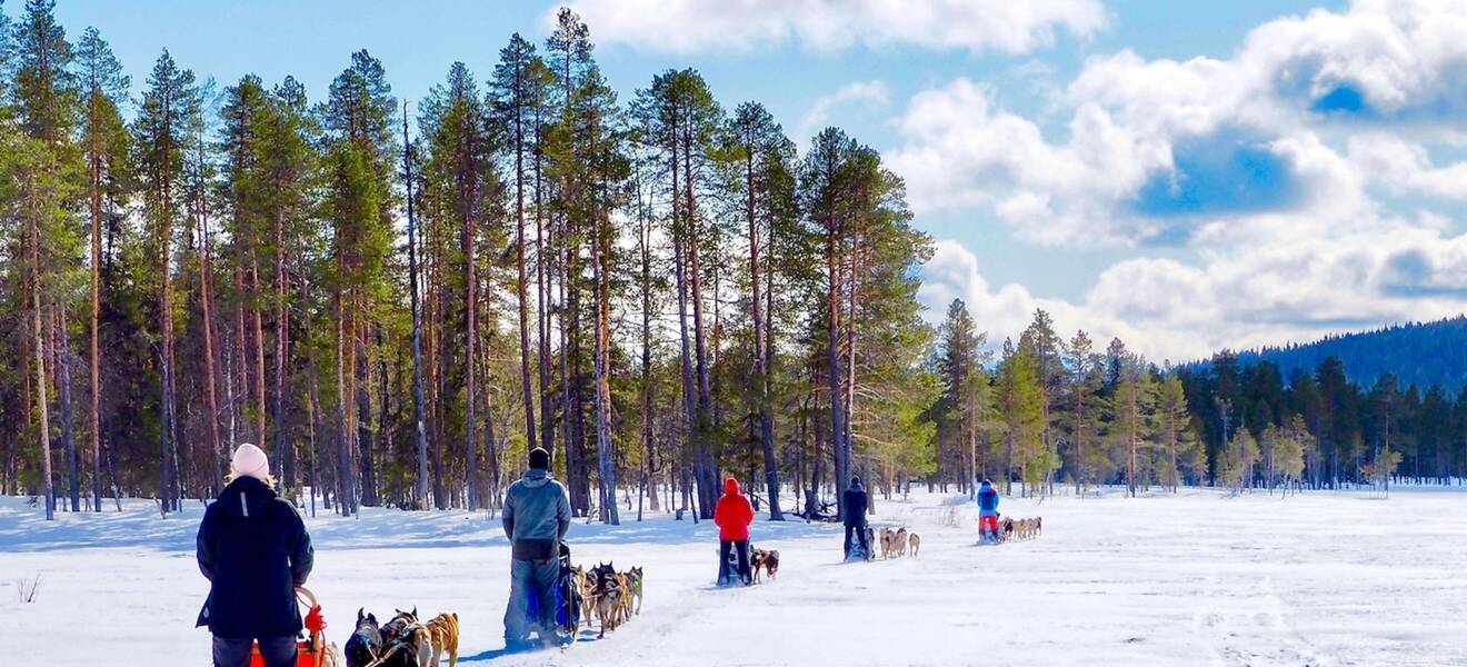 Schneeschuhwandern in Lappland