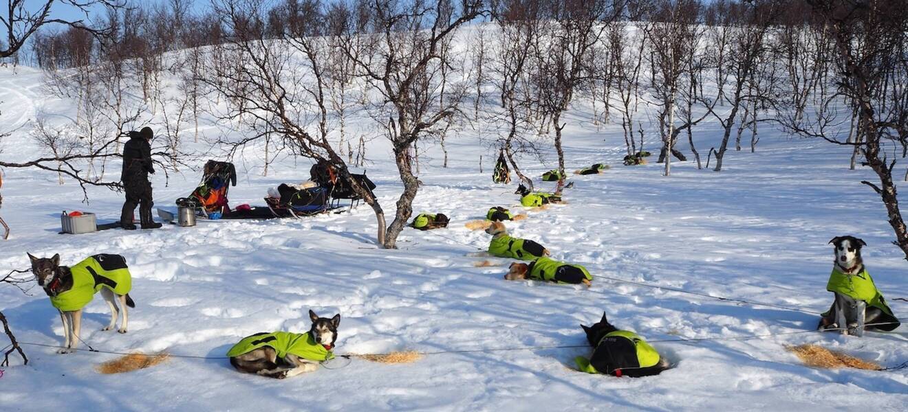 Highlight: Fahrt zum Nordpolarkreis