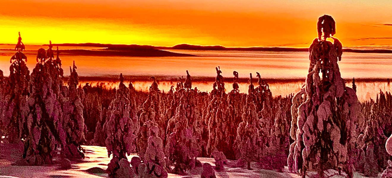 Relaxing Day in Schweden