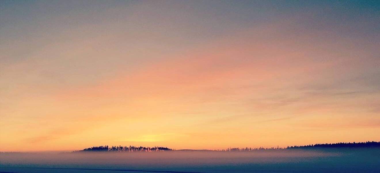 Husky Tour in schwedischen Lappland
