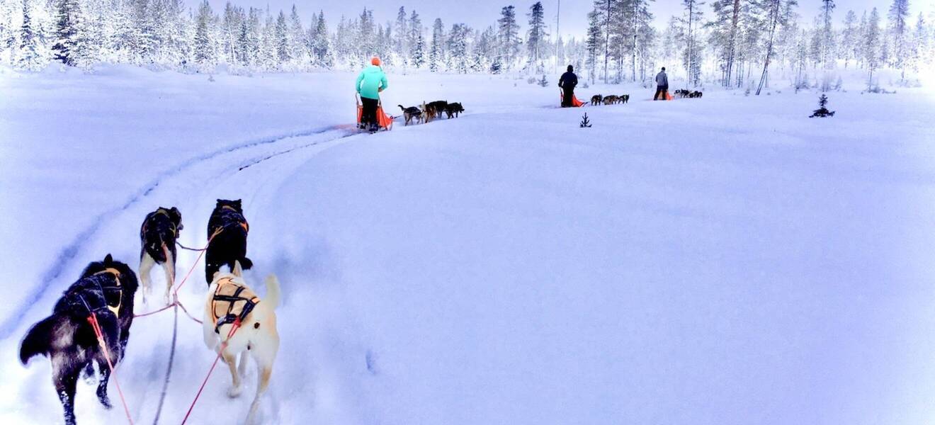 Typisch nordische Kultur