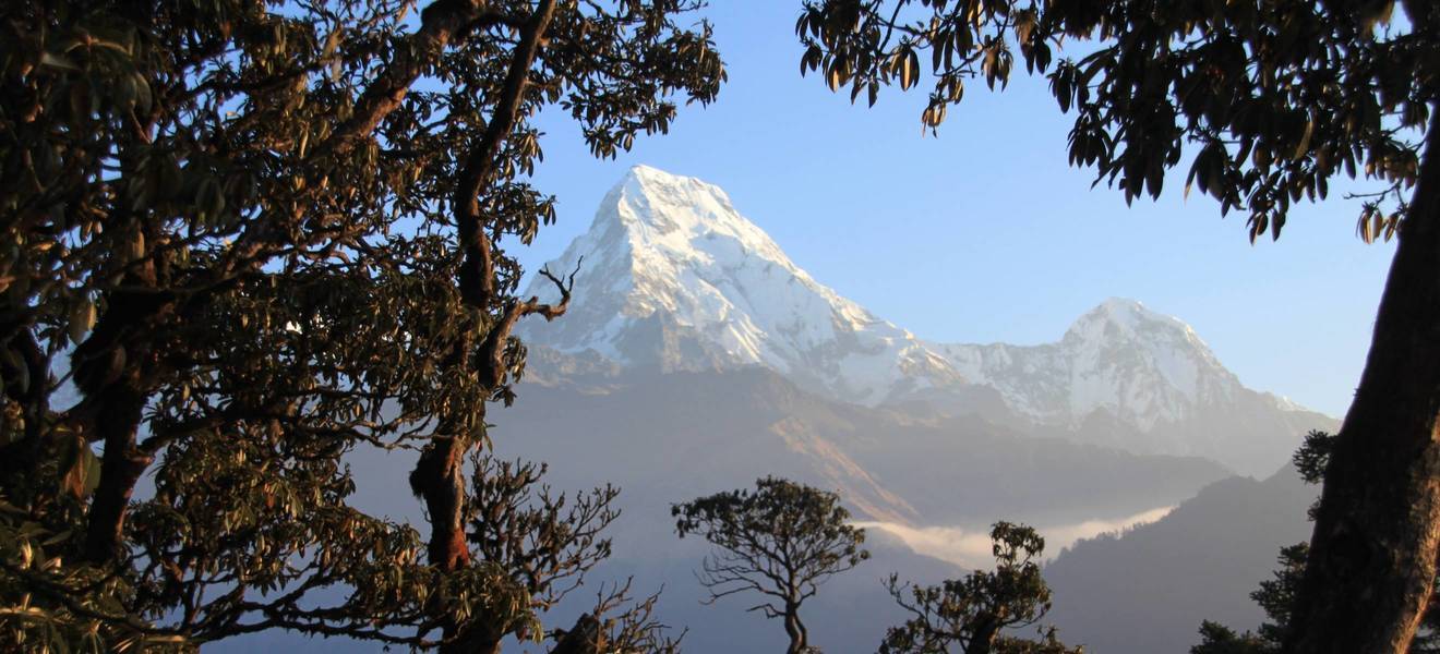 Nepal Poonhill Trekking Day 5