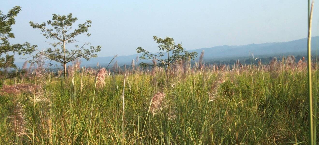 Nepal - Everest-Wanderung