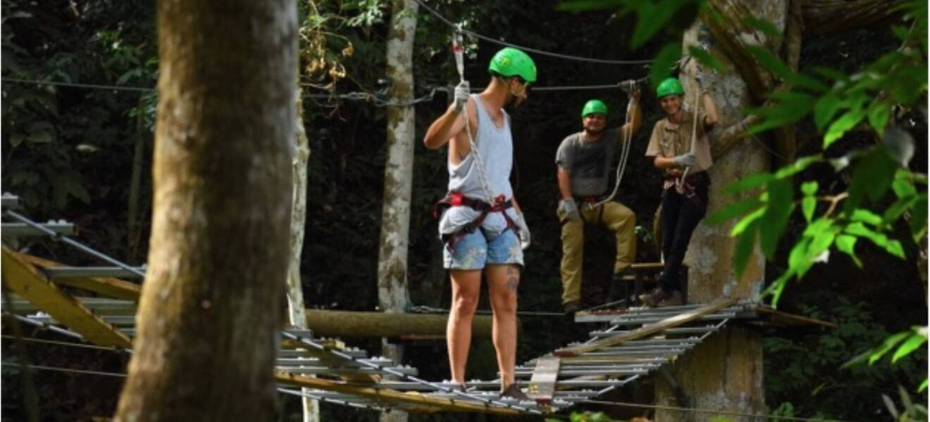Zipline im Regenwald