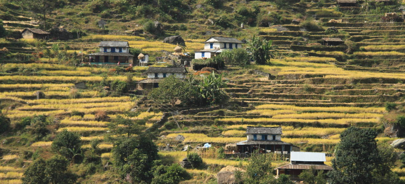 Hügel von Nuwara Eliya