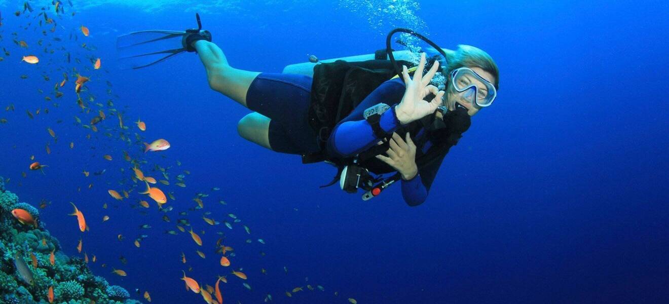 Unterwasserwelt in Koh Tao