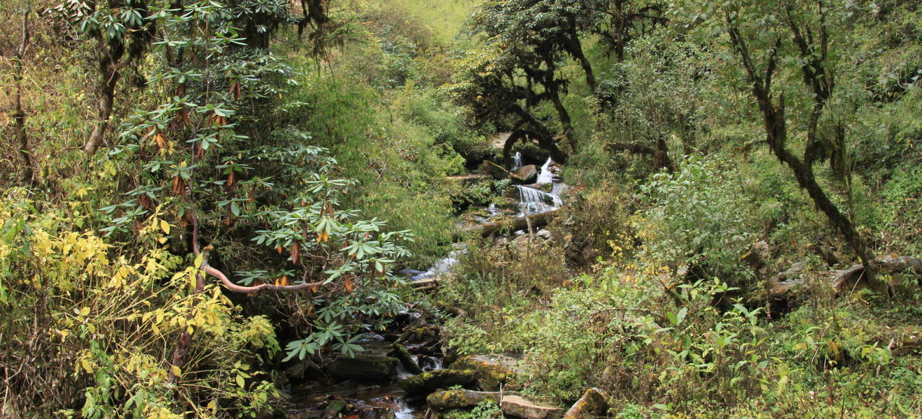 Unberührte Natur in Vietnam 