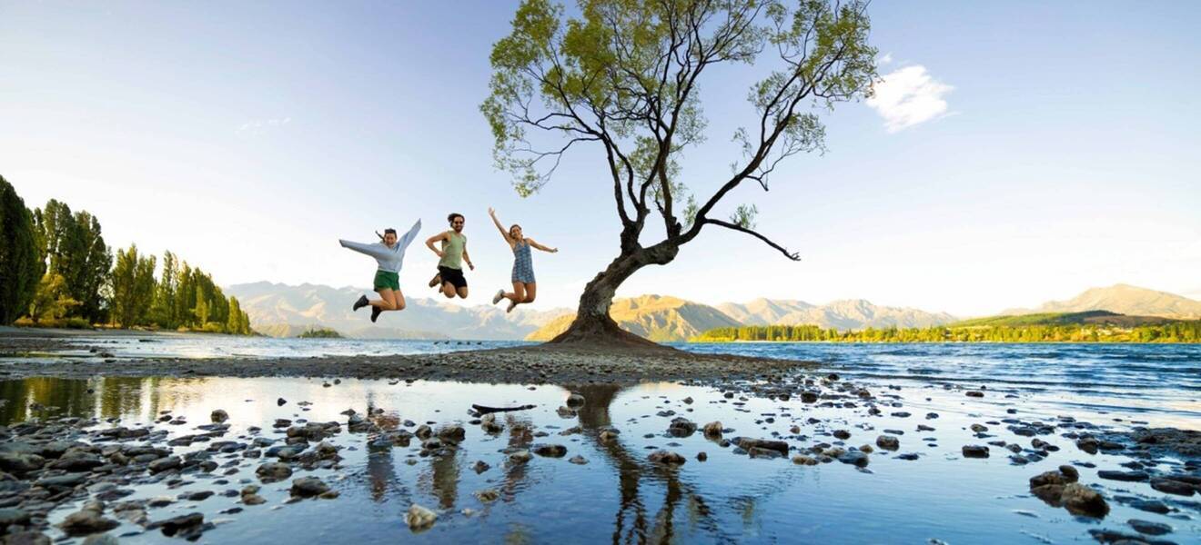Trip zum Wanaka Tree