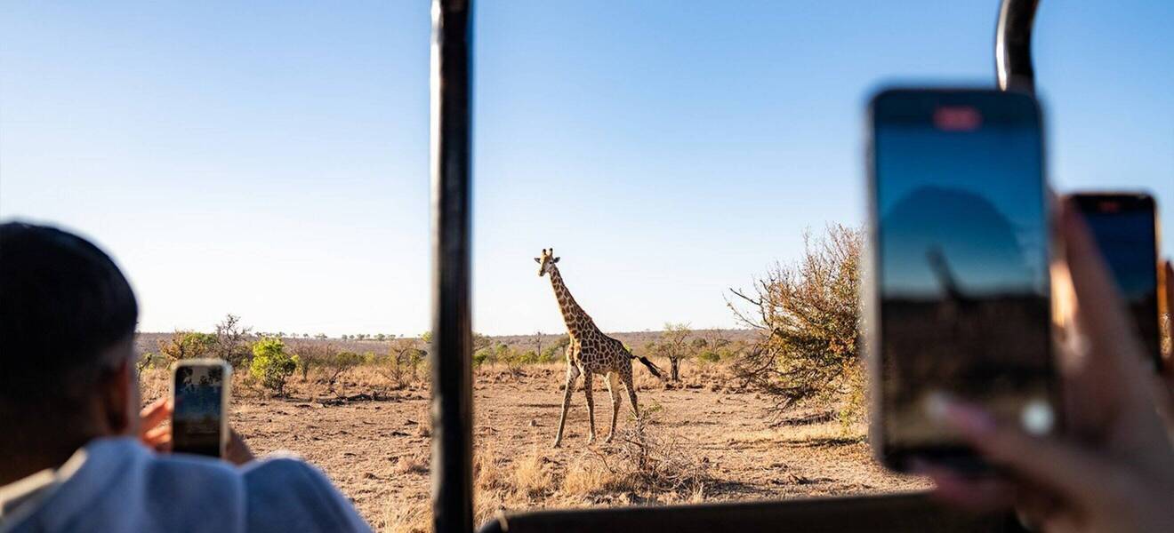 Südafrika Krüger Nationalpark