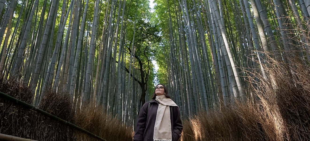 Bambuswald Kyoto
