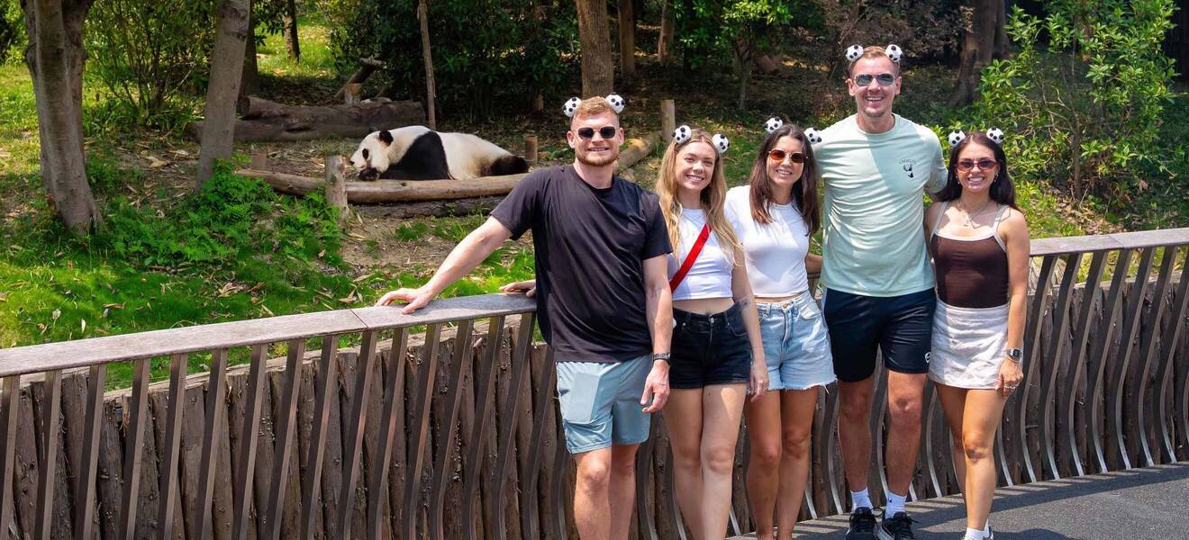 Panda-Beobachtung in Chengdu