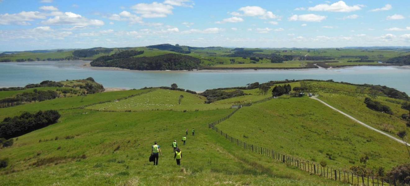 Auckland in Neuseeland