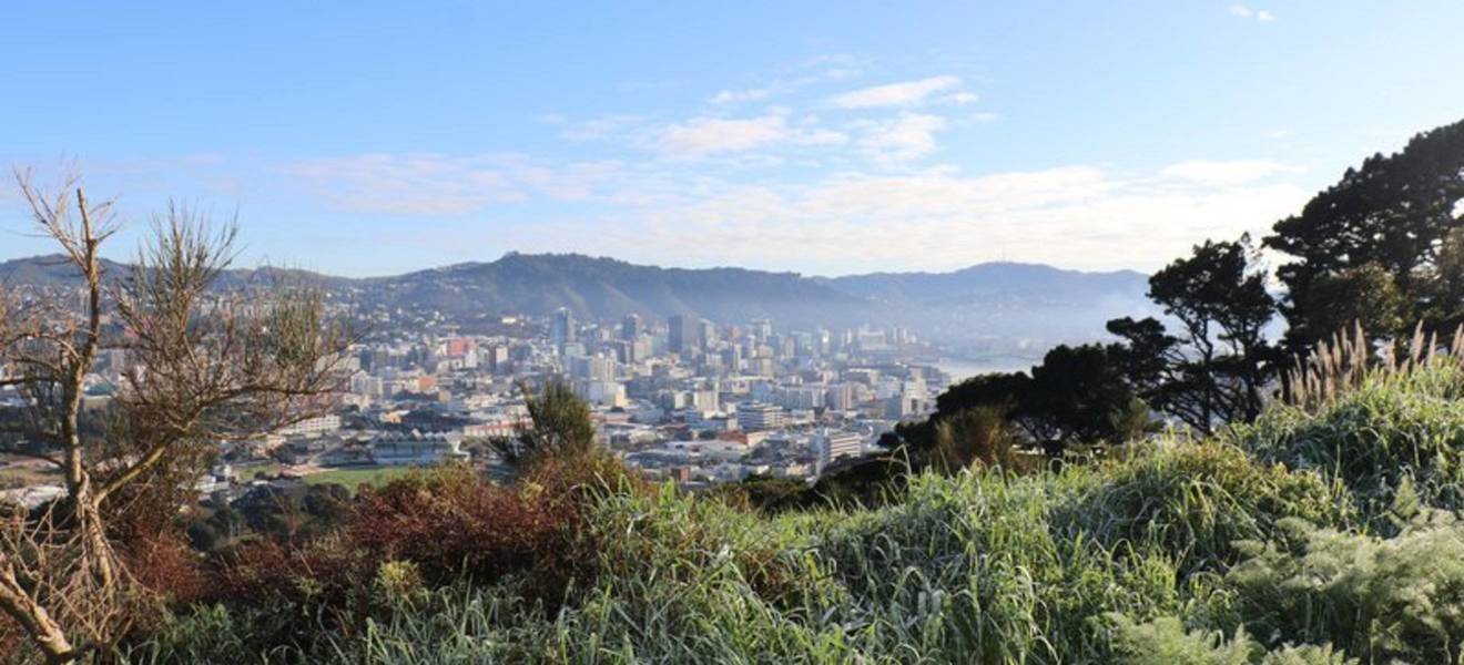 Wellington in Neuseeland