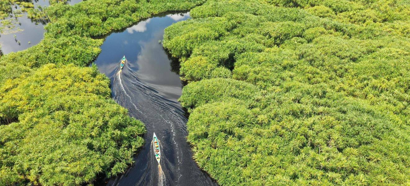 Kalimantan auf Borneo