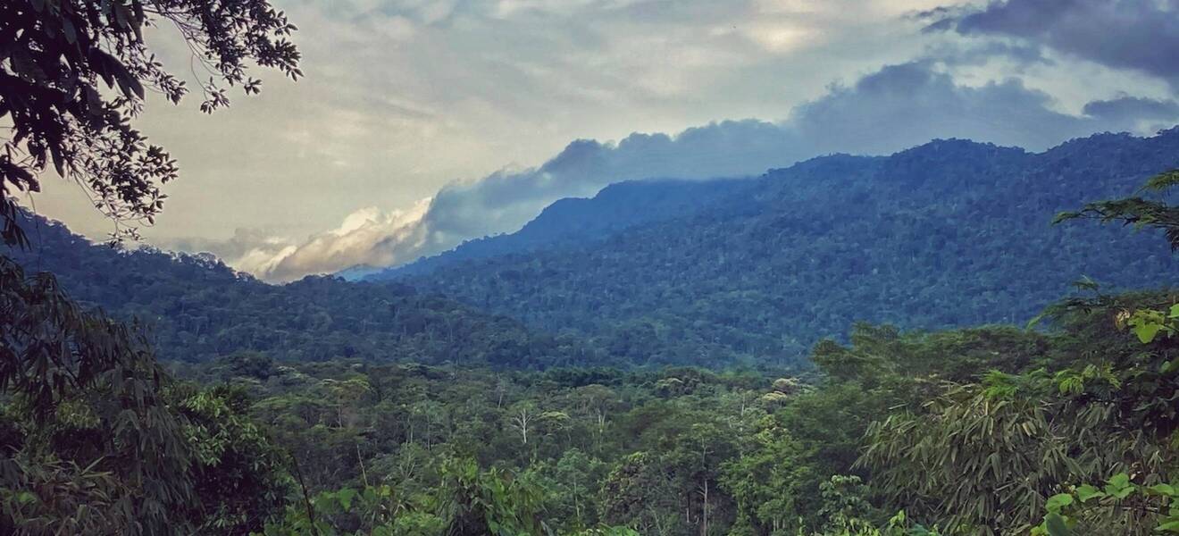Amazon Peru