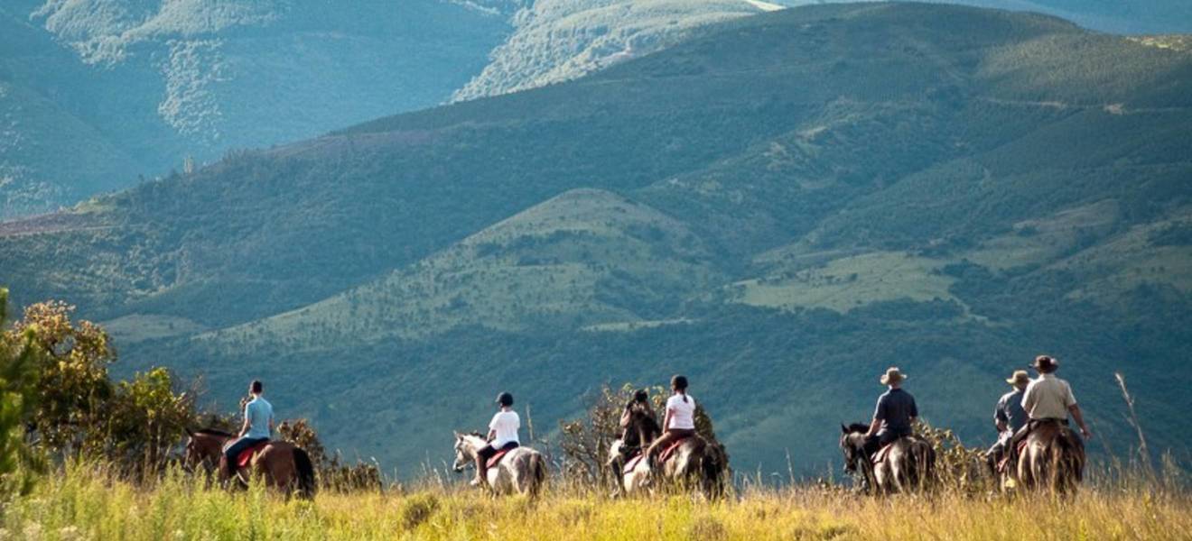 Pferdefarm in Südafrika