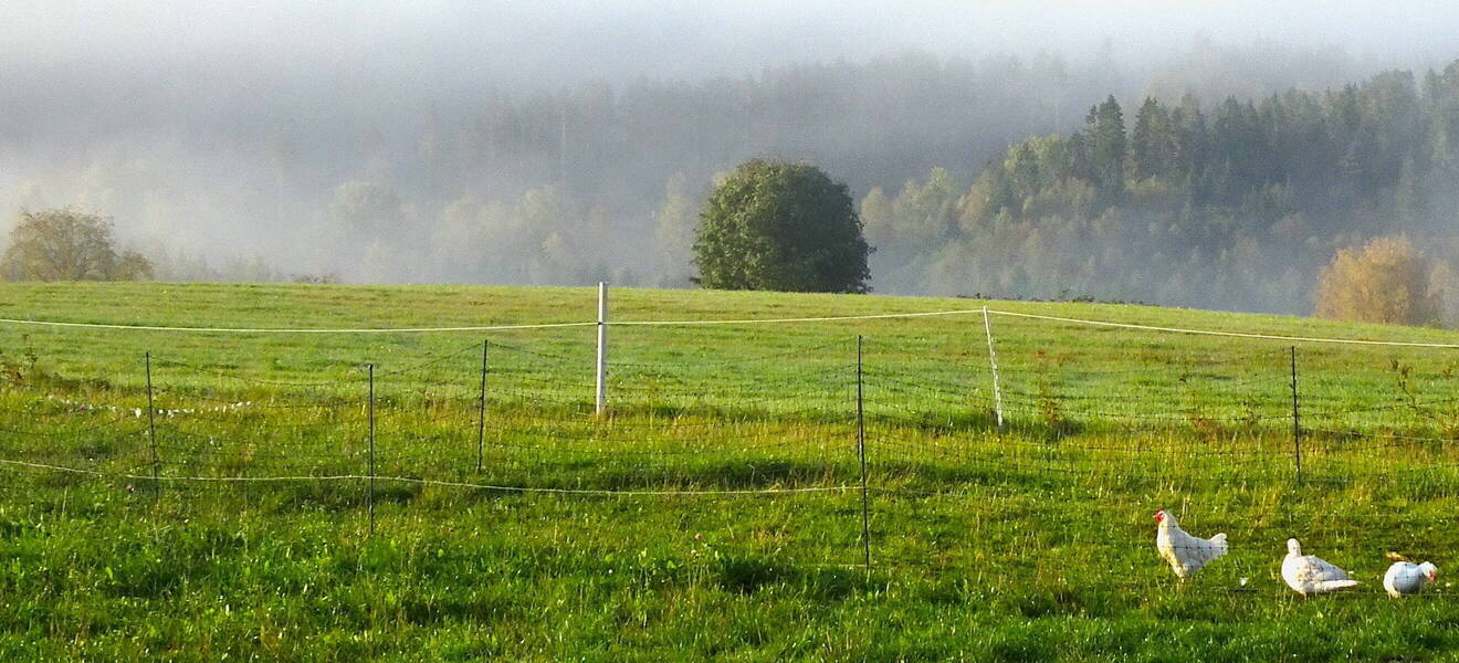 Ausblick in Årjäng