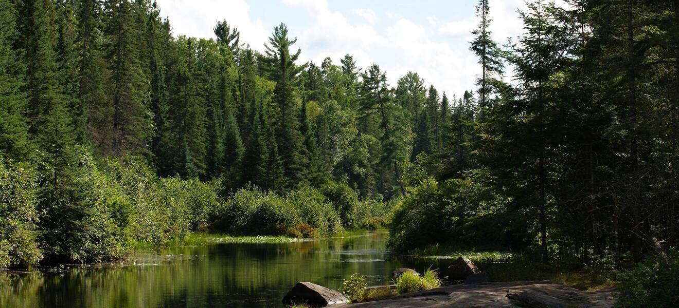 Landschaft in Ontario