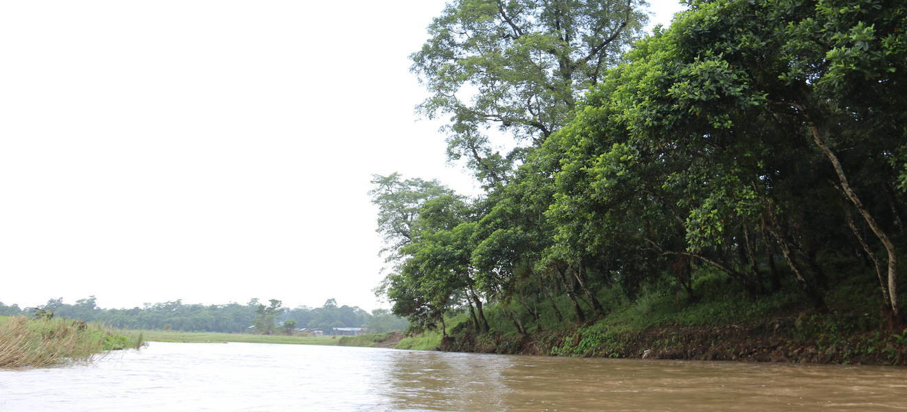 Chitwan Nationalpark