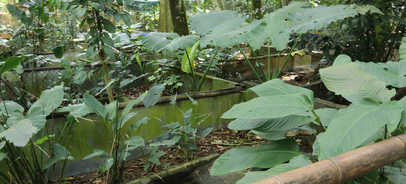 Nationalpark Vietnam