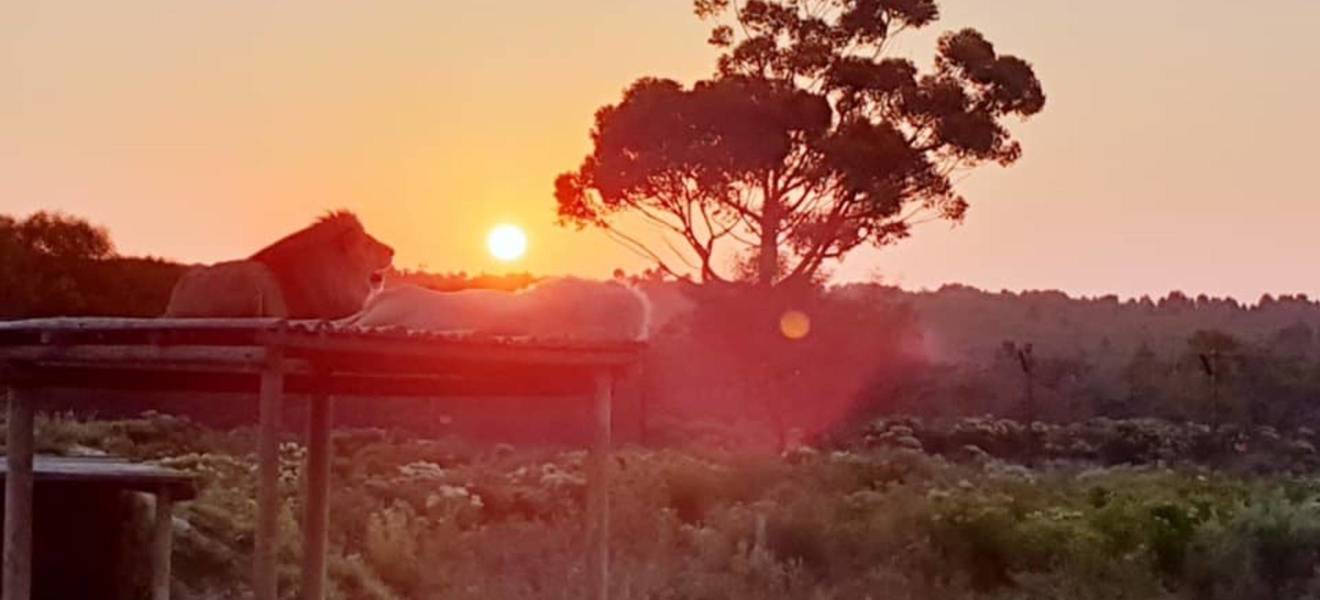 Western Cape in Südafrika