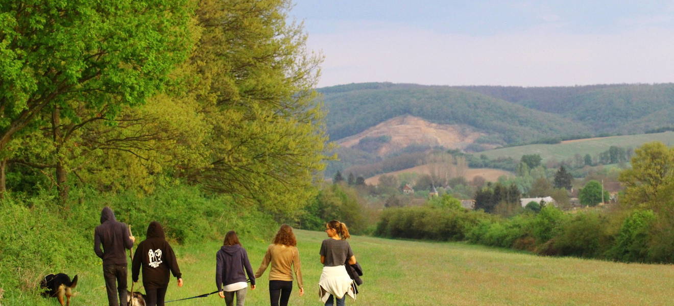 Freiwilligenarbeit in Ungarn