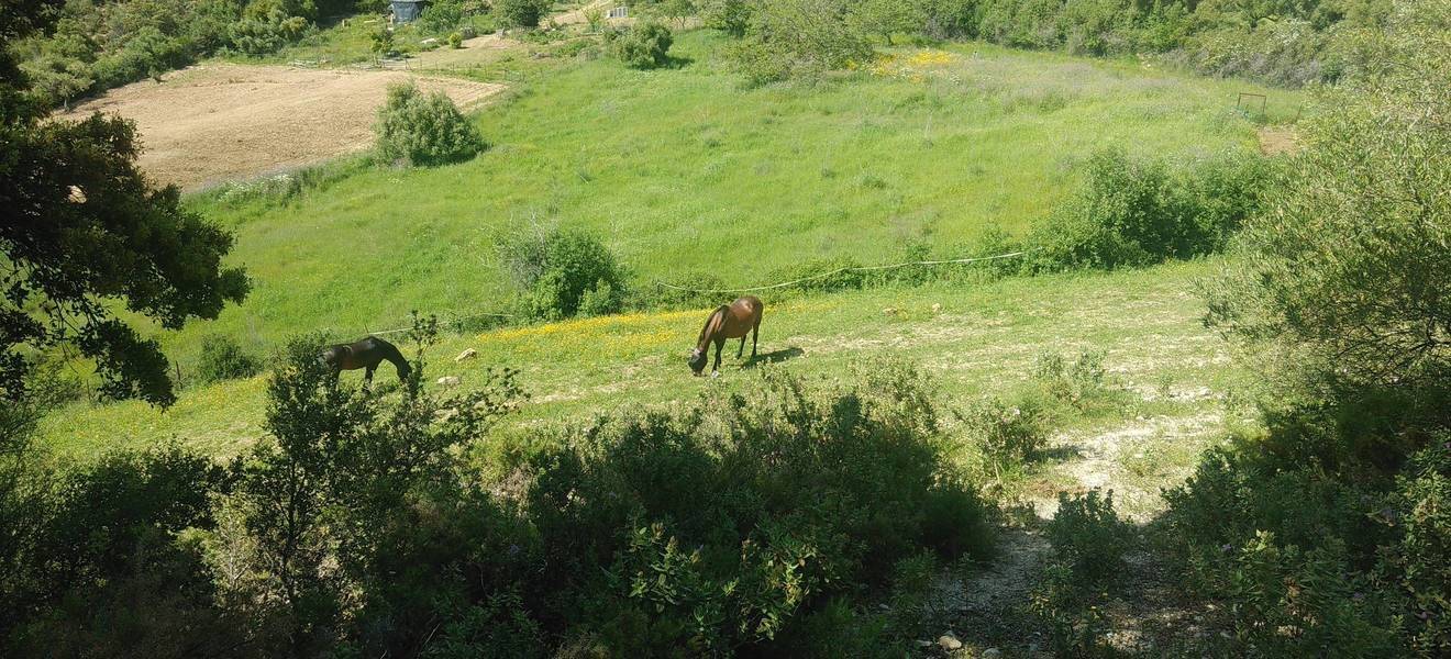 Landschaft in Andalusien