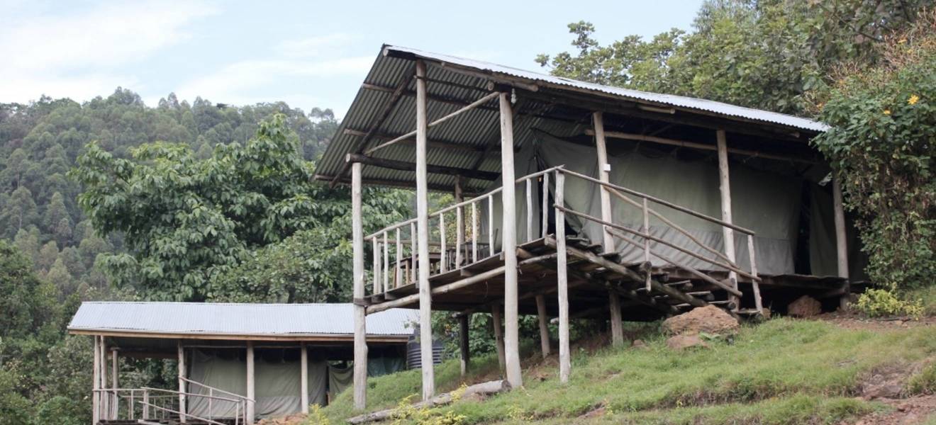 Deine Unterkunft im Gorilla-Projekt