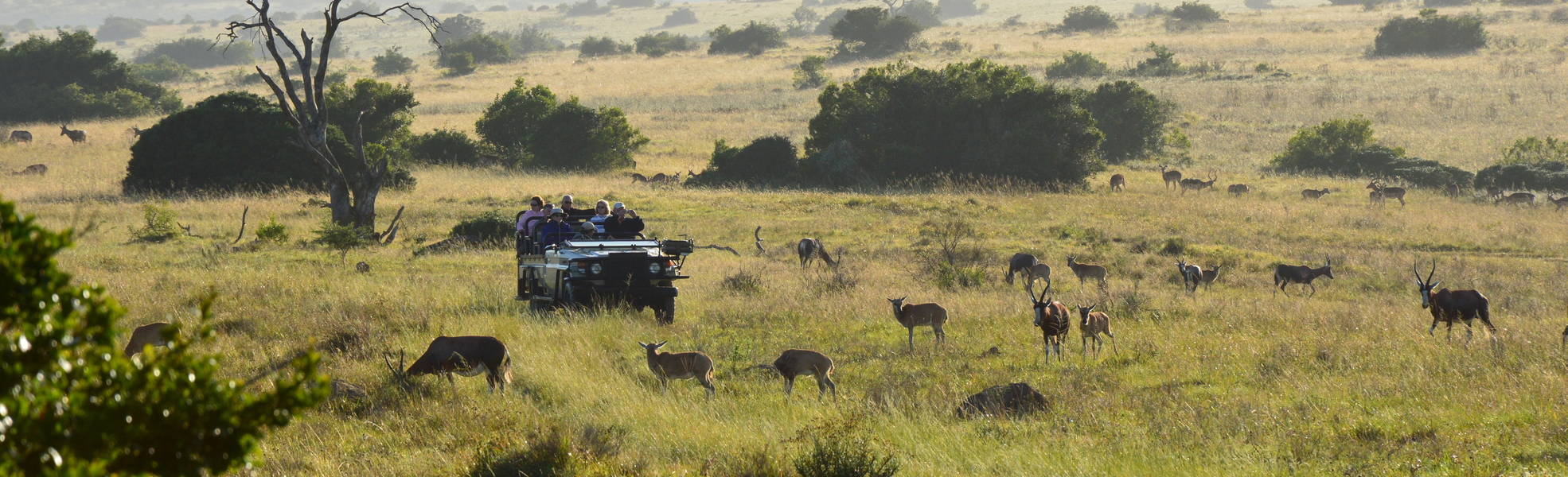 Gruppenreisen in Afrika