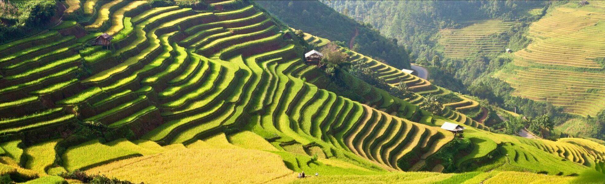 Einheimische Händler in Asien