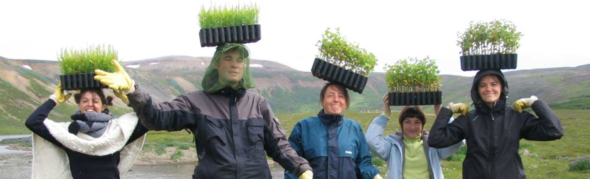 Volunteers do voluntary work in the field of environment and climate