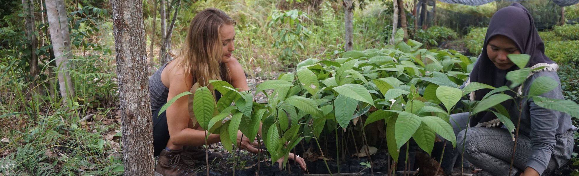 Unser Impact auf die Welt