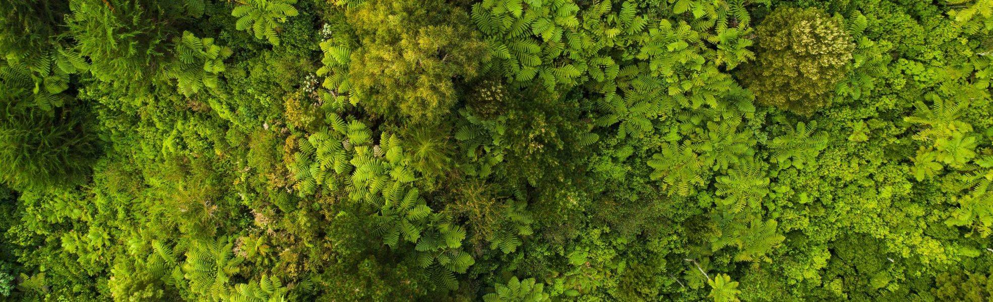 Corporate Social Responsibility von Rainbow Garden Village