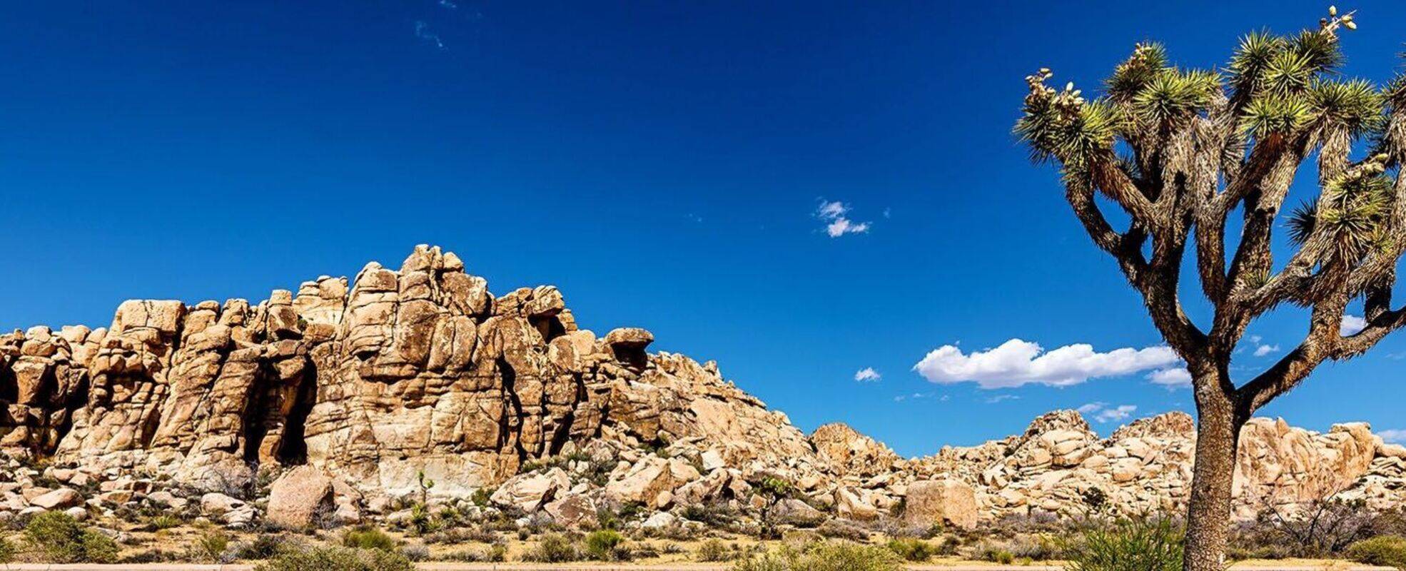 Freiwilligenarbeit in Nordamerika