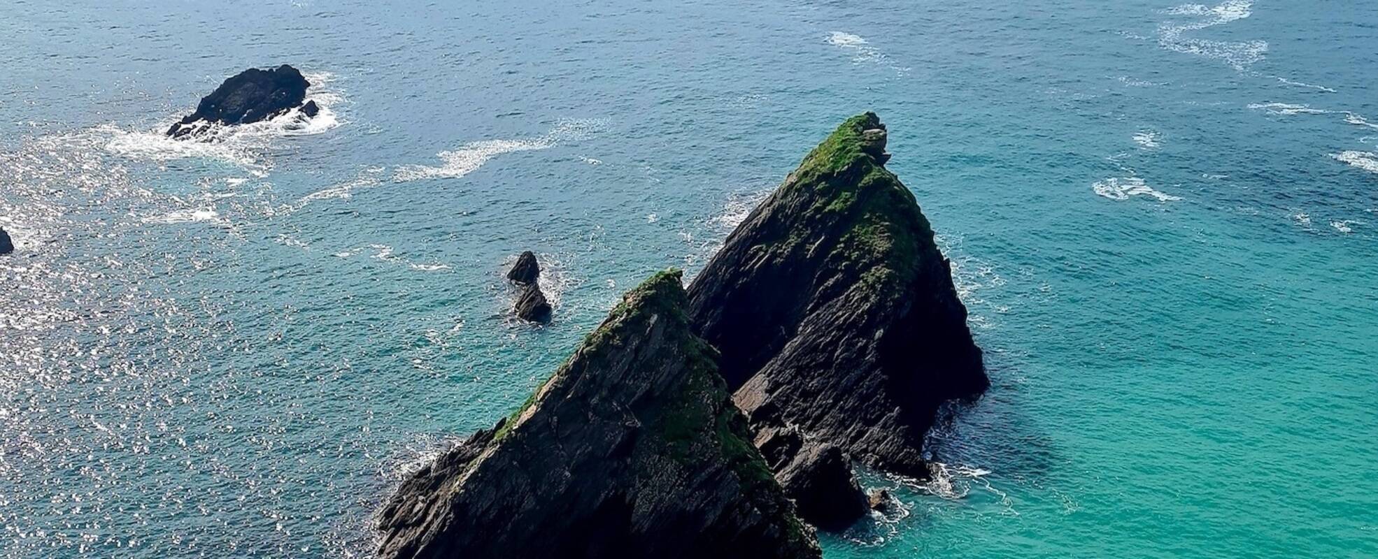 Freiwilligenarbeit in Irland