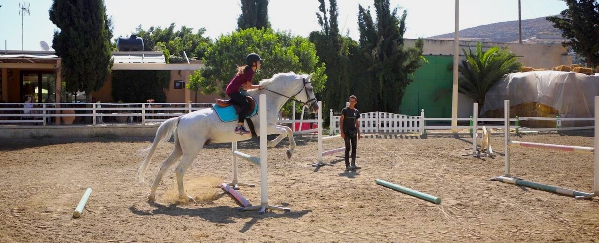 Pferdeprojekt in Griechenland Kreta