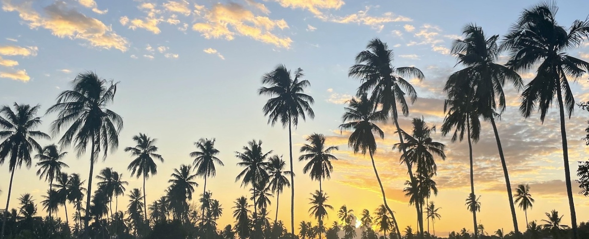 Auslandsjahr nach dem Abi