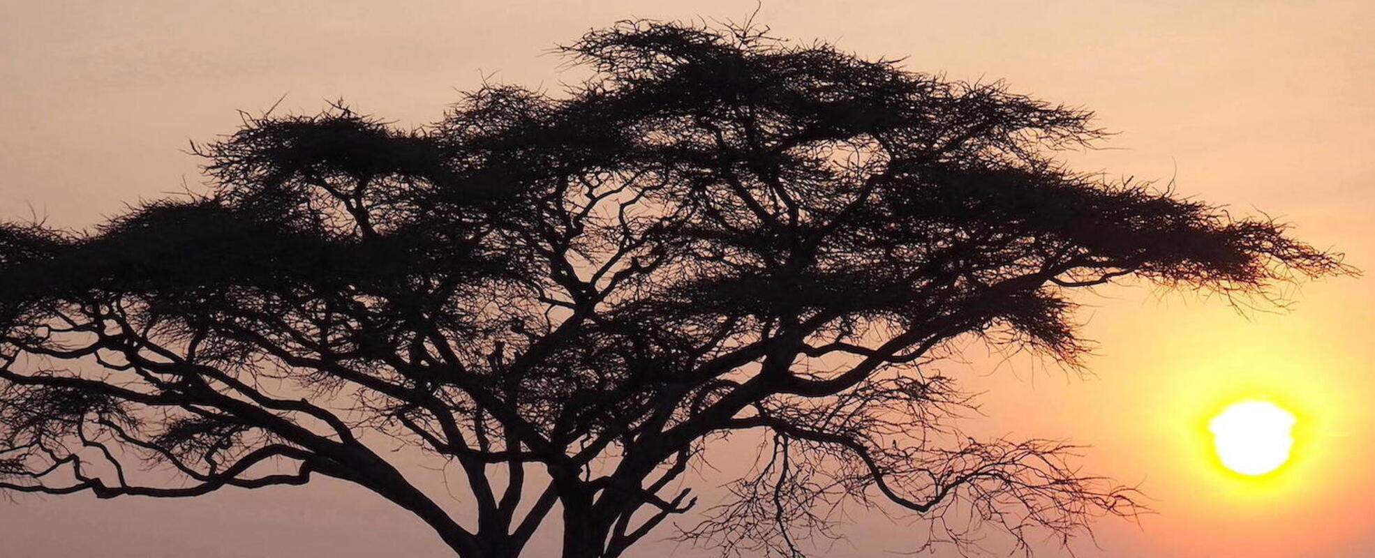 Auslandsjahr nach Klasse 10