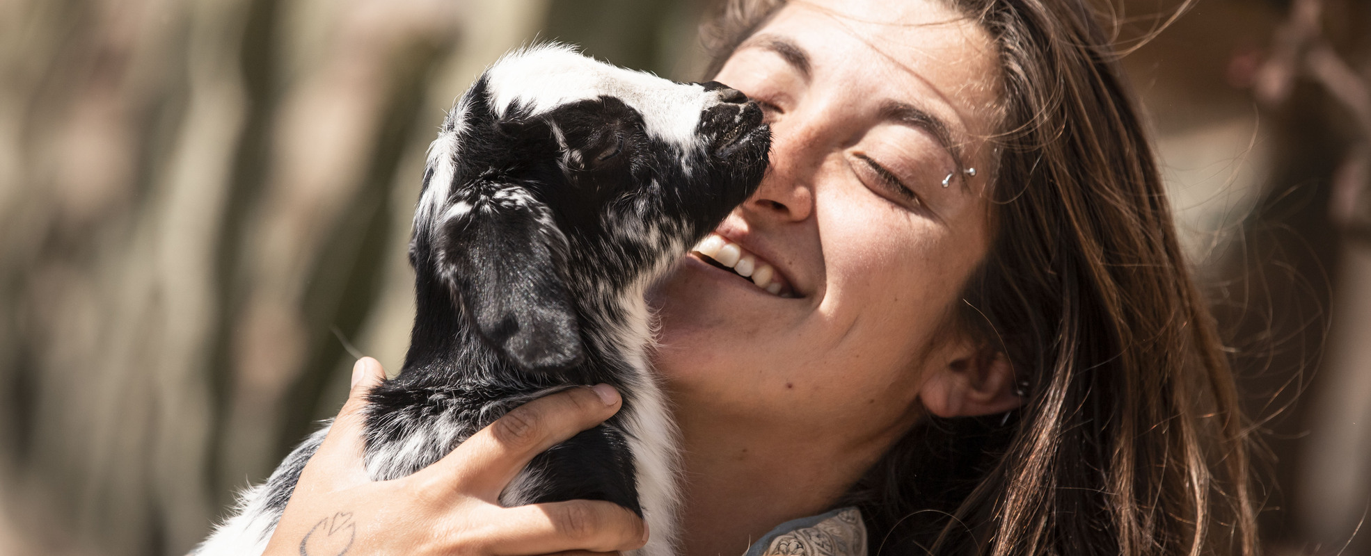 Freiwilligendienst Tierschutz Teneriffa