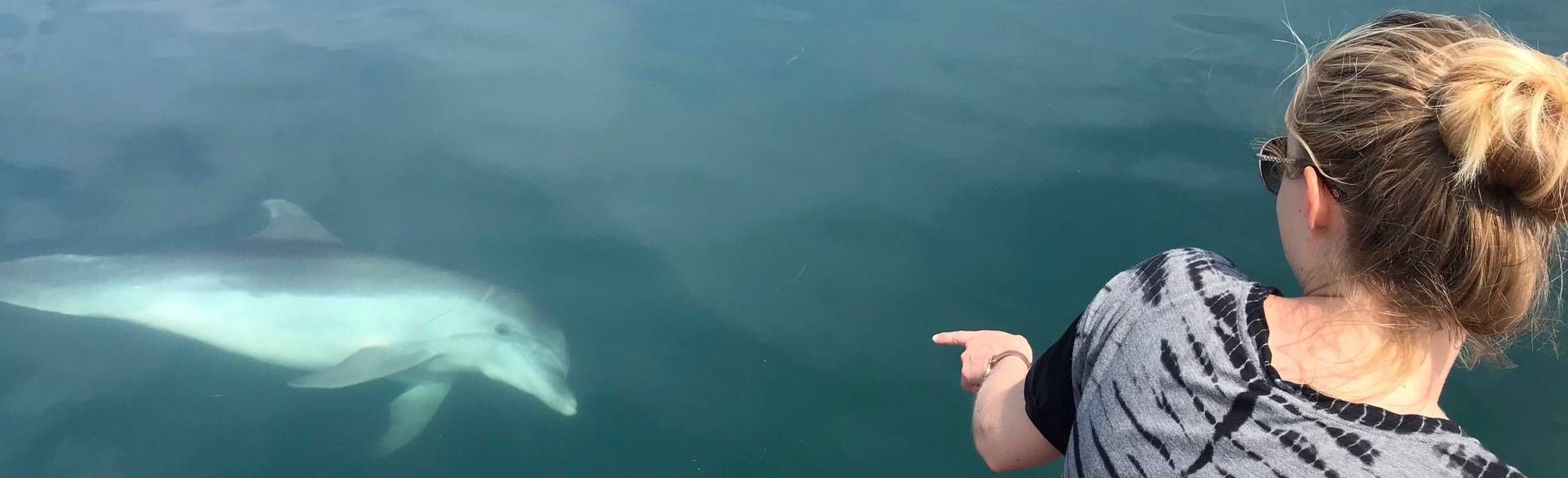 Volunteer bei der Freiwilligenarbeit in Europa