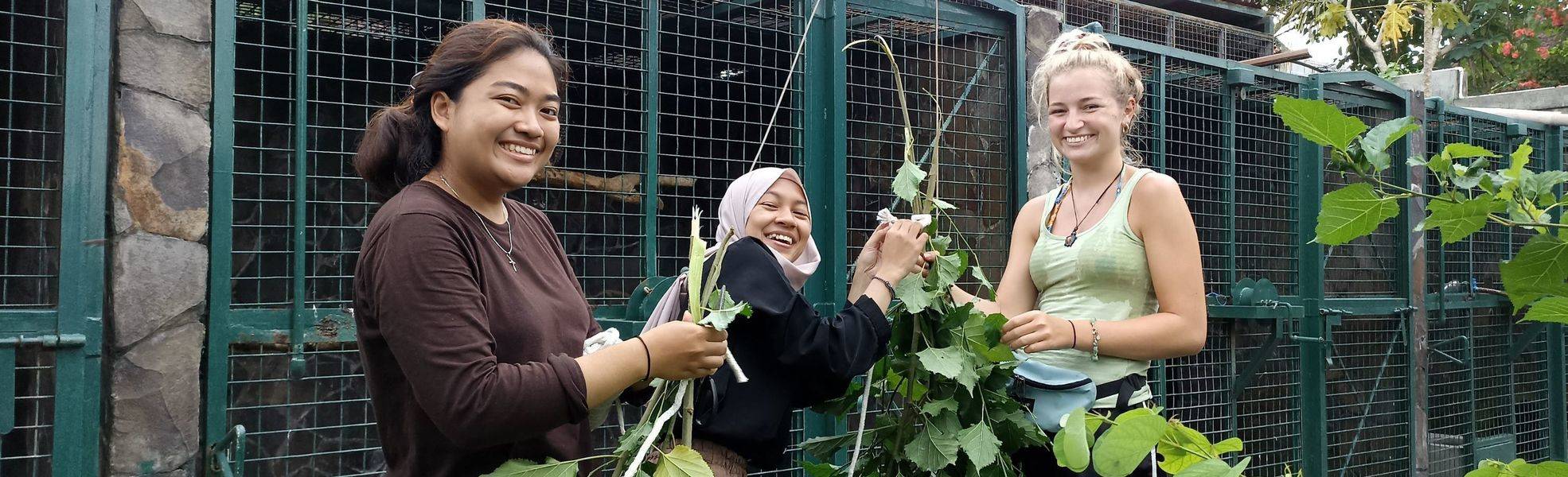 Volunteers bei ihrer Freiwilligenarbeit in Indonesien