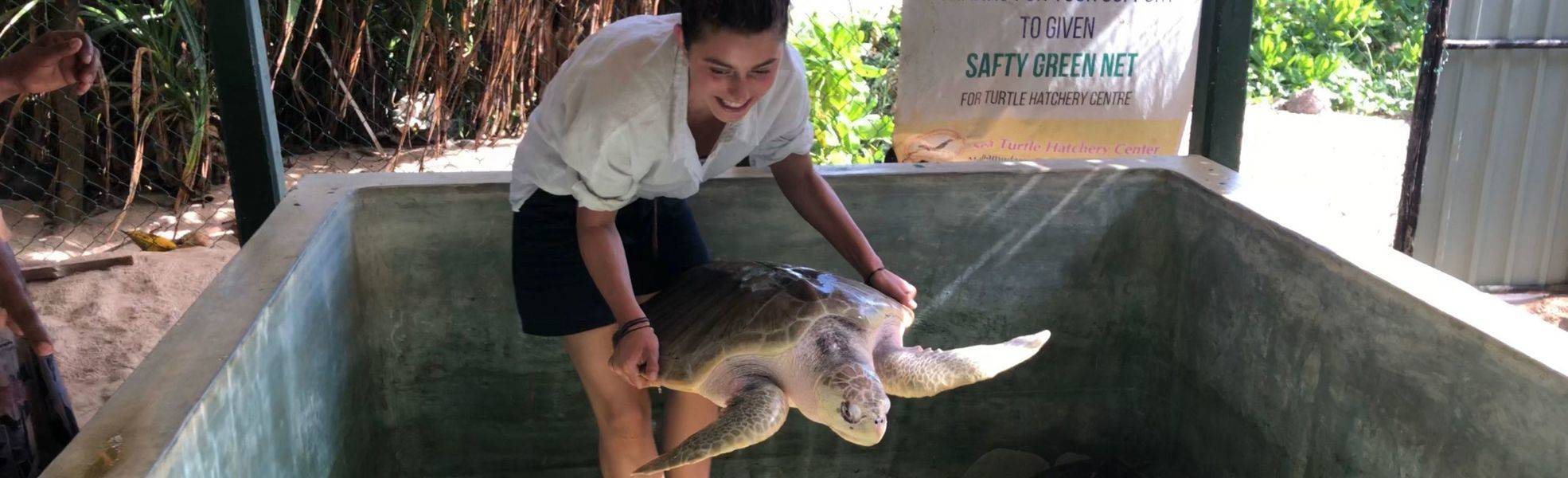 Volunteer bei ihrer Freiwilligenarbeit in Sri Lanka