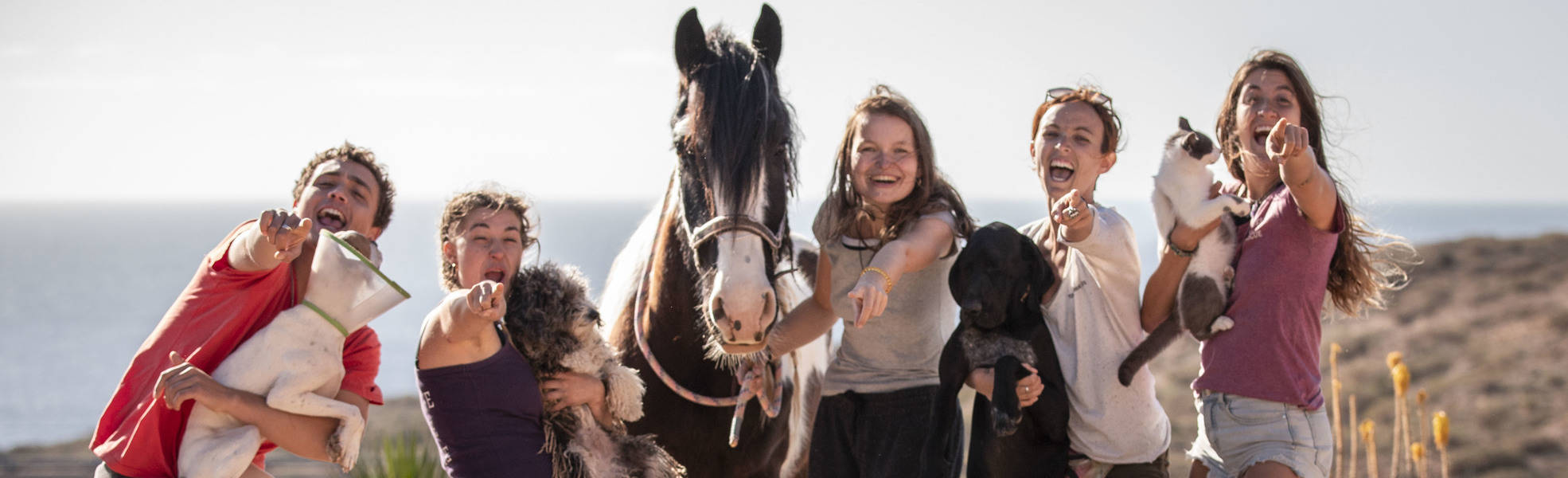 Volunteers mit Tieren im Freiwilligenprojekt in Spanien